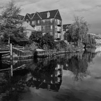 Buy canvas prints of River Wensum Reflection in Norwich MONO by Paul Macro