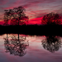 Buy canvas prints of Tree Reflection at Sunset on Norfolk Broads by Paul Macro