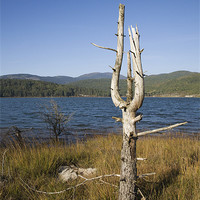 Buy canvas prints of Palsko Lake by Ian Middleton
