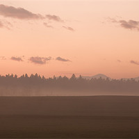 Buy canvas prints of Misty fields at sunset by Ian Middleton