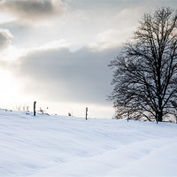 Buy canvas prints of Winter Landscapes by Ian Middleton
