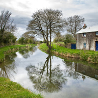 Buy canvas prints of Grand Canal at Miltown, Co Kildare by Ian Middleton