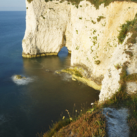 Buy canvas prints of Morning light at Old Harry Rocks by Ian Middleton