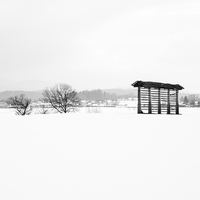 Buy canvas prints of Winter landscape in black and white by Ian Middleton