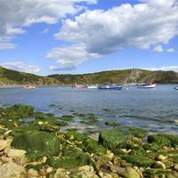 Buy canvas prints of Lulworth Cove, Dorset, England by Ian Middleton