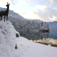 Buy canvas prints of Snowy alpine lake by Ian Middleton