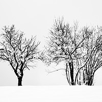 Buy canvas prints of Winter by Ian Middleton