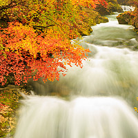 Buy canvas prints of The Soteska Vintgar gorge in Autumn by Ian Middleton