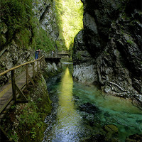 Buy canvas prints of The Vintgar gorge, Gorje, near Bled, Slovenia by Ian Middleton