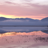 Buy canvas prints of Cerknica lake at dawn, Notranjska, Slovenia by Ian Middleton