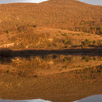Buy canvas prints of Landscape perfectly reflected in Palsko lake by Ian Middleton