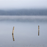 Buy canvas prints of Palsko Lake, Pivka lakes, Slovenia by Ian Middleton