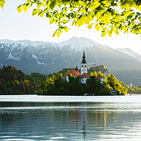 Buy canvas prints of Spring colours at Lake Bled by Ian Middleton
