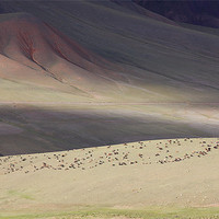 Buy canvas prints of Hills of Kyrgyzstan by Sergey Golotvin
