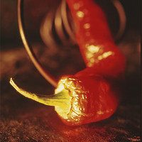 Buy canvas prints of Red pepper by Jean-François Dupuis