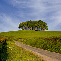 Buy canvas prints of Nearly Home Trees Coming Home Trees by Oxon Images