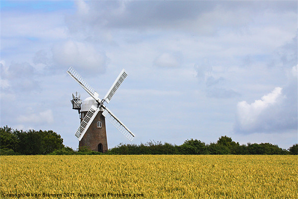 Wilton Windmill and Corn field Picture Board by Oxon Images