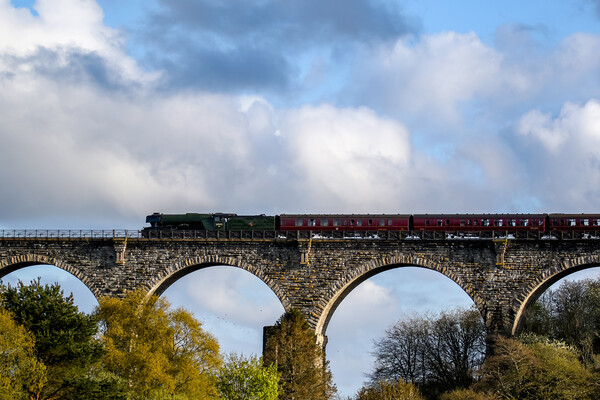 Flying Scotsman over Liskeard viaduct Picture Board by Oxon Images
