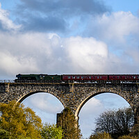 Buy canvas prints of Flying Scotsman over Liskeard viaduct by Oxon Images