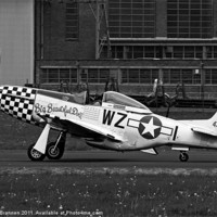Buy canvas prints of Big Beautiful Doll P51 Mustang by Oxon Images