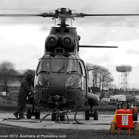Buy canvas prints of Puma refuelling by Oxon Images