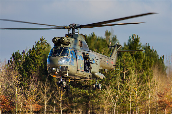 RAF Puma Helicopter Picture Board by Oxon Images
