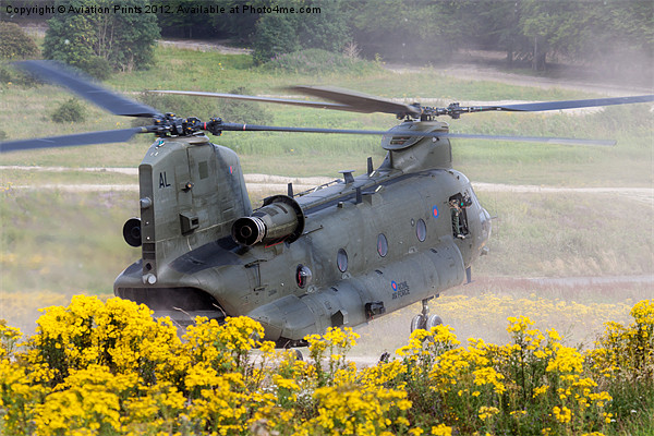 Chinook Landing in dust 2 Picture Board by Oxon Images