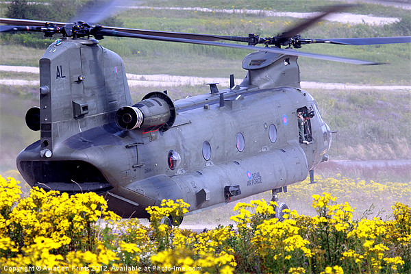 Chinook on Salisbury Plain Picture Board by Oxon Images