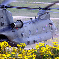 Buy canvas prints of Chinook on Salisbury Plain by Oxon Images