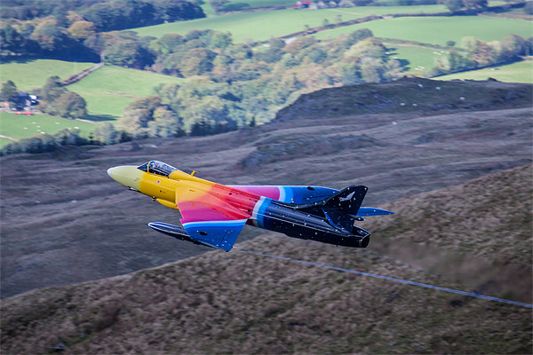 Miss DeMeanour Hawker Hunter 3 Picture Board by Oxon Images