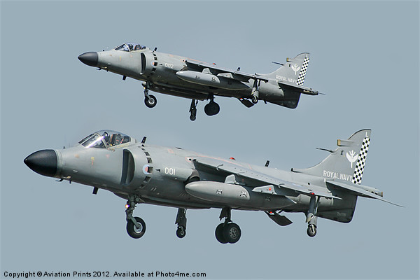 Royal Navy Sea Harrier FA2 Picture Board by Oxon Images