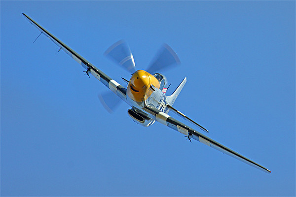 P51 Mustang head on Picture Board by Oxon Images