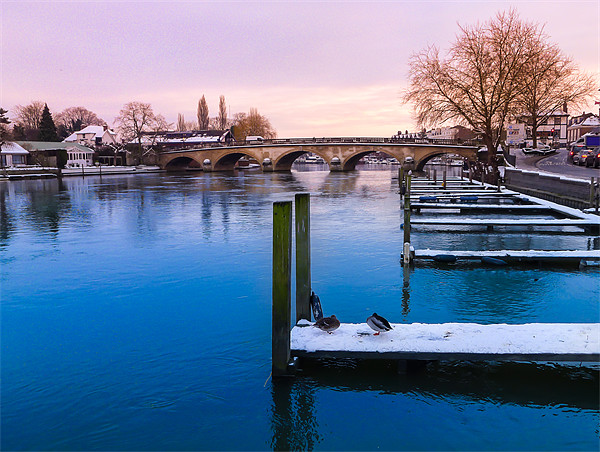 The river Thames Picture Board by Oxon Images