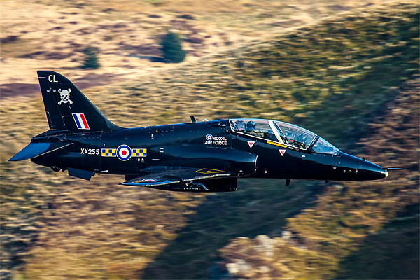 RAF Hawk TMk1 Trainer Picture Board by Oxon Images