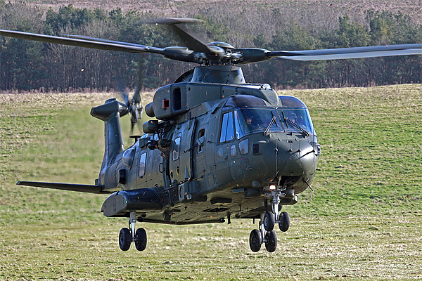RAF Merlin Picture Board by Oxon Images