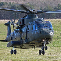 Buy canvas prints of RAF Merlin by Oxon Images