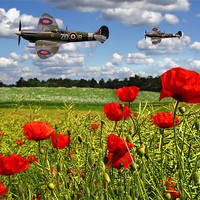 Buy canvas prints of Spitfires and Poppy field by Oxon Images