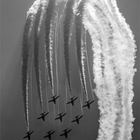 Buy canvas prints of Red Arrows Black and White by Oxon Images