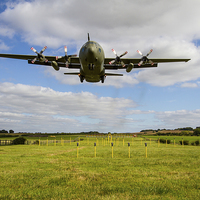 Buy canvas prints of C130 Hercules by Oxon Images
