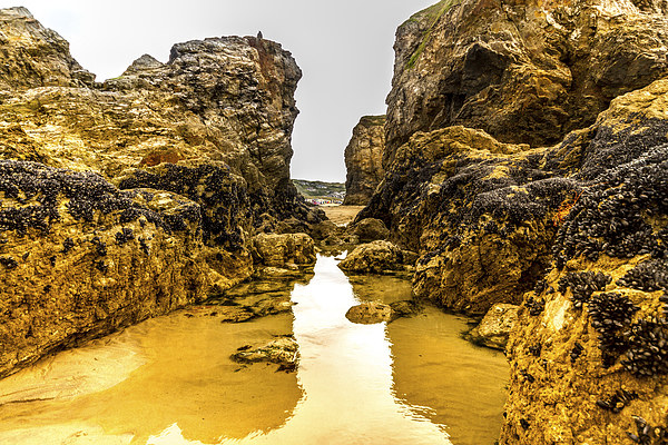 Perranporth rock pool Picture Board by Oxon Images