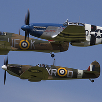 Buy canvas prints of Spitfire Hurricane and Mustang by Oxon Images