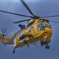 Buy canvas prints of RAF Sea King by Oxon Images