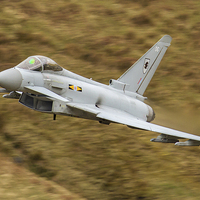 Buy canvas prints of Typhoon by Oxon Images