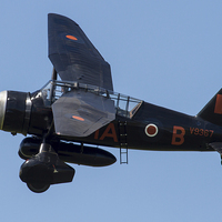 Buy canvas prints of Westland Lysander by Oxon Images