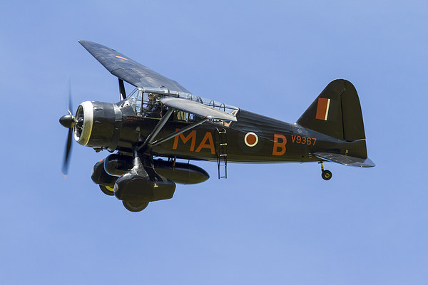 Westland Lysander Picture Board by Oxon Images