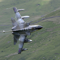 Buy canvas prints of Camo Tornado GR4 by Oxon Images