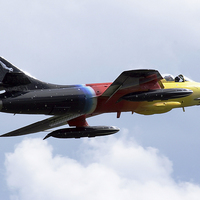 Buy canvas prints of Hawker Hunter MIss Demeanour by Oxon Images