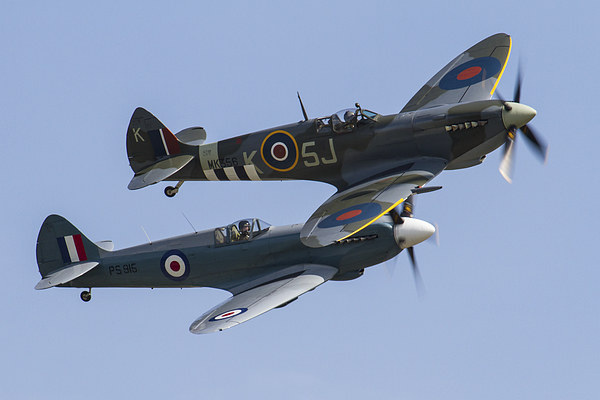 BBMF Spitfire at Yeovilton air day Picture Board by Oxon Images
