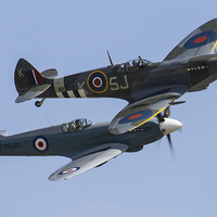 Buy canvas prints of BBMF Spitfire at Yeovilton air day by Oxon Images