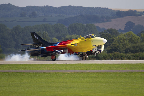 Miss Demeanour at Yeovilton Picture Board by Oxon Images